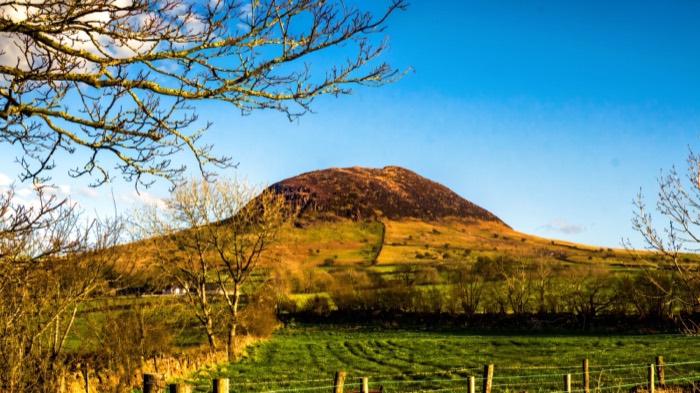 The green dome of Slemish Mountain rising alone over Antrim farmland