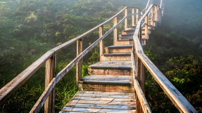 The timber steps of the Cuilcagh Boardwalk climbing the mountainside