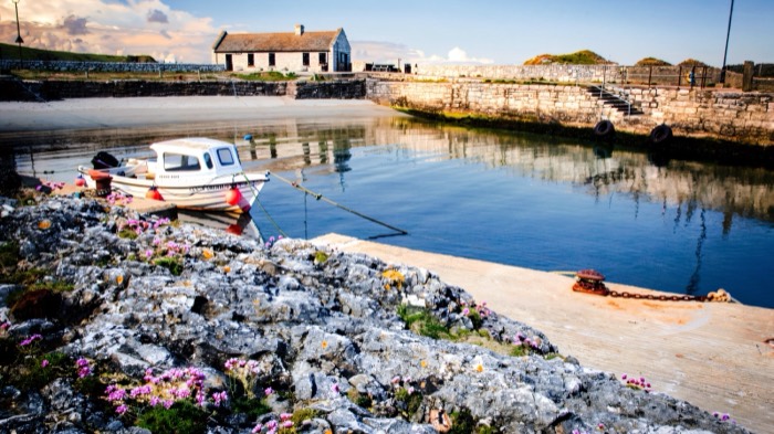 A small boat moored in the stone harbour at Ballintoy with wildflowers on the rocks