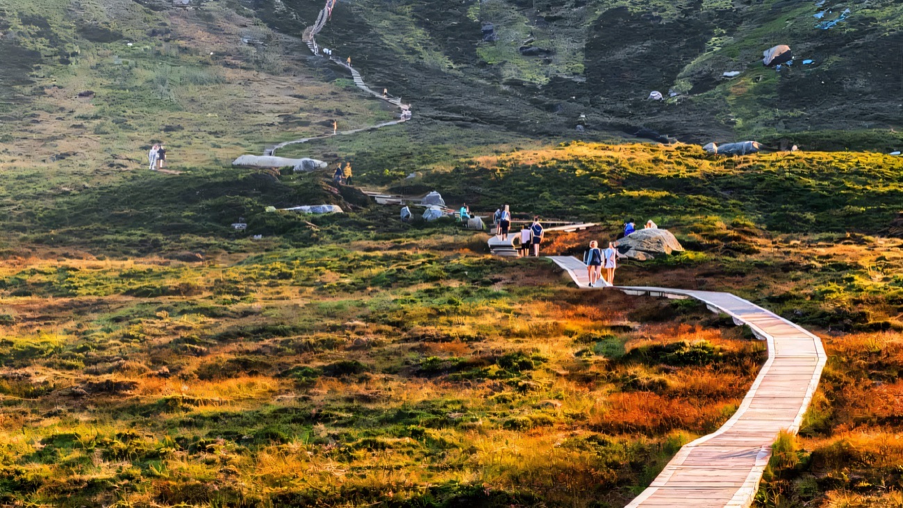 Walkers on the winding timber boardwalk crossing golden bog toward Cuilcagh mountain