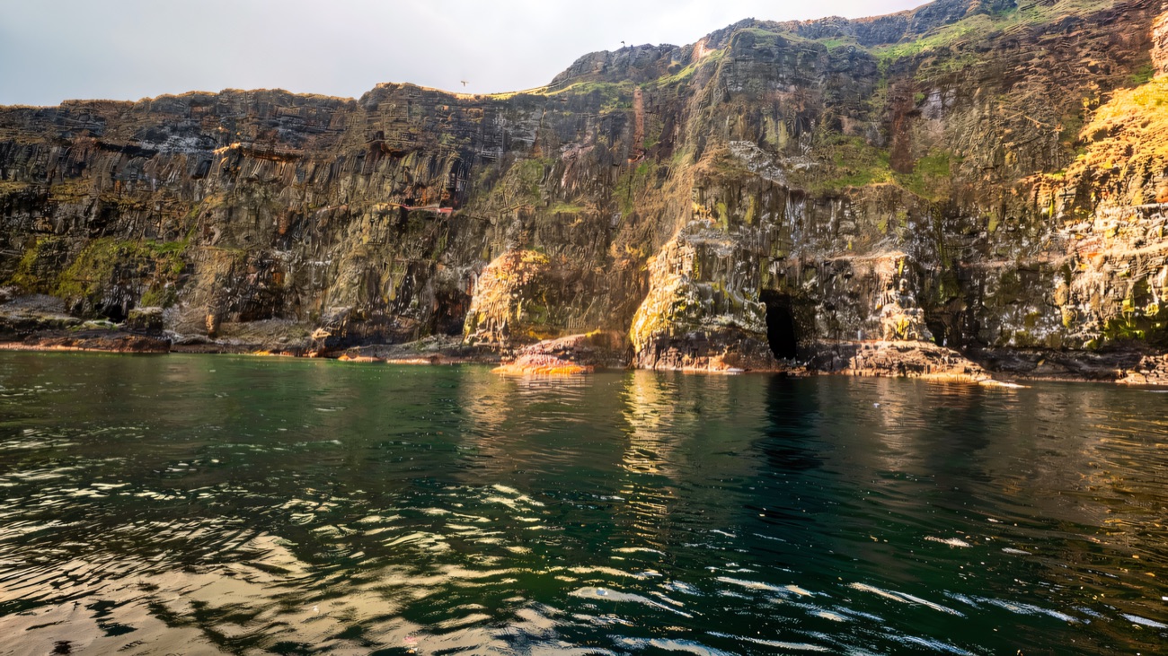 Sea-level view of the towering basalt cliffs and sea caves seen on a coastal boat trip, with gulls overhead