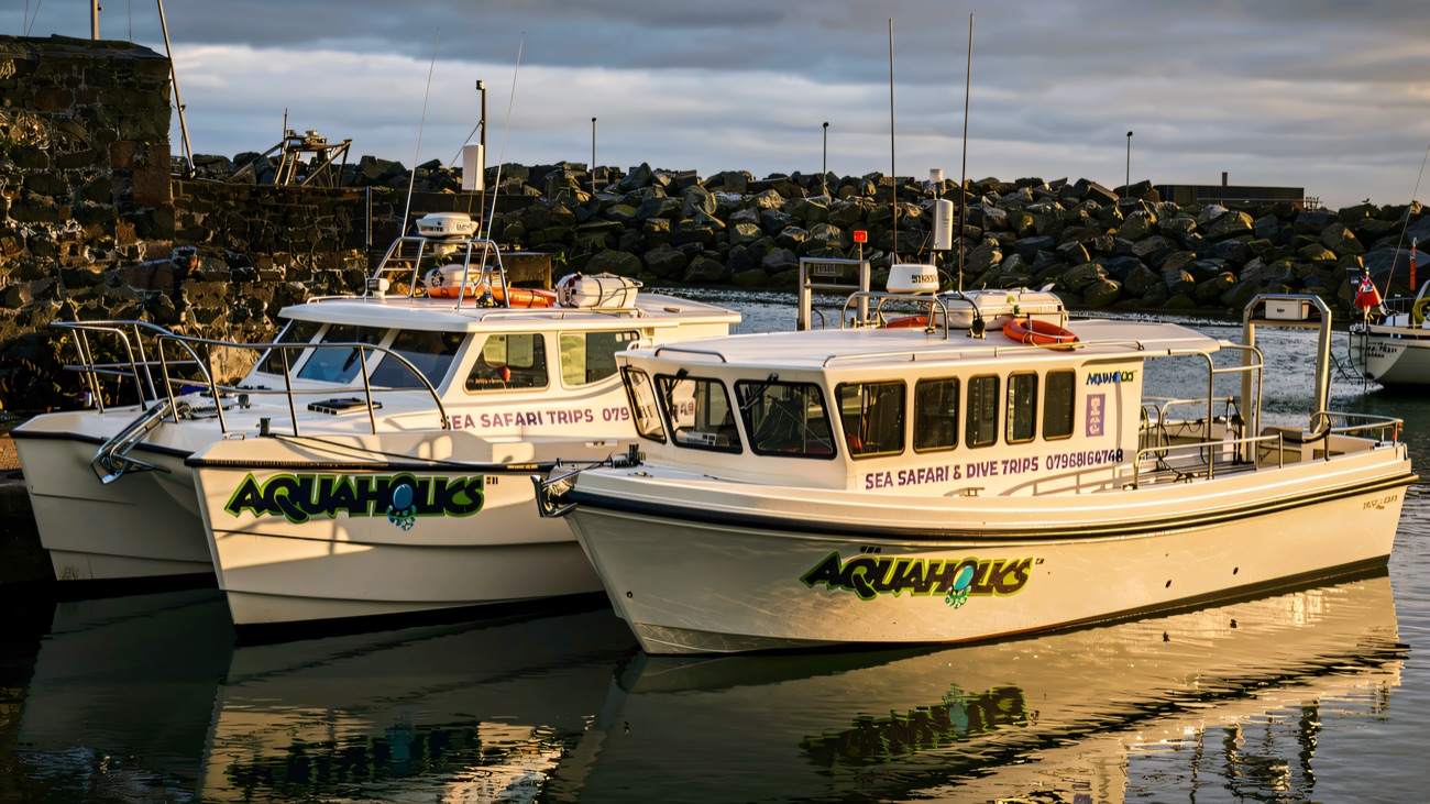 The two Aquaholics boats moored in Portstewart's sheltered harbour