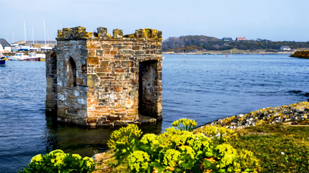 The old harbour tower and the sea-pinks