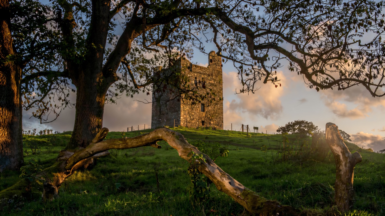 Dusk light and a gnarled tree framing the lonely tower on its hill