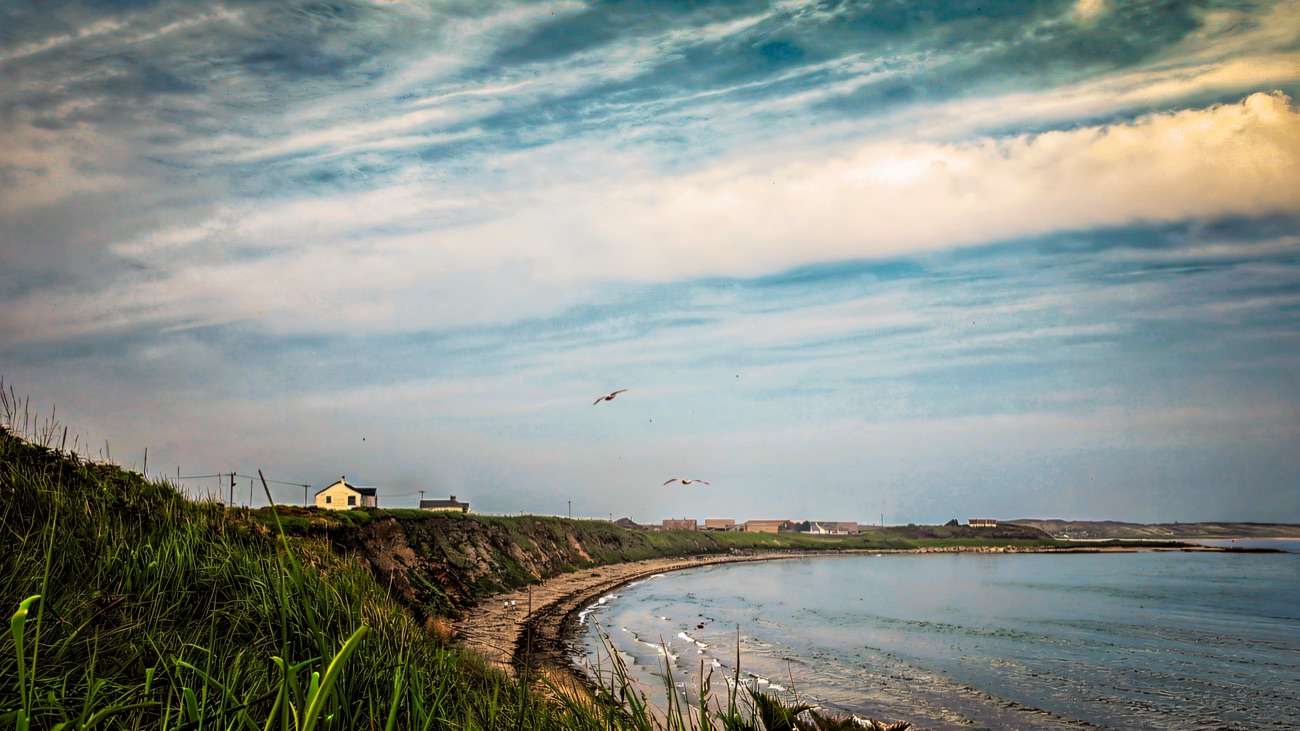 Grassy bank above the shore looking along the curve of the beach