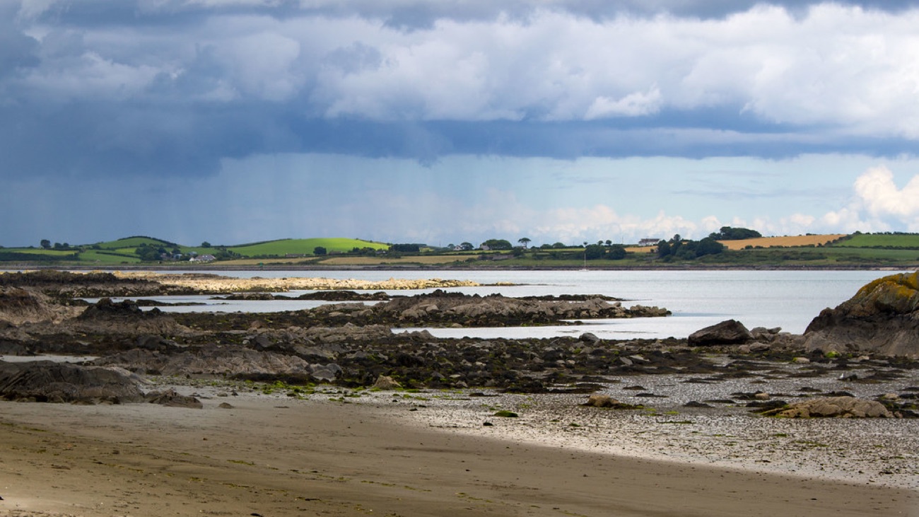 The rocky low-tide shore of Ballyhornan with a reef reaching into the bay and green Lecale fields under a dramatic sky
