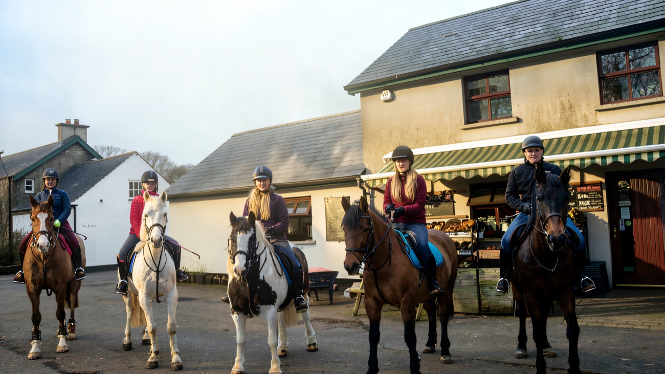 A rider's-eye view along the trail, following the group ahead up a stony track with ponies grazing in the fields