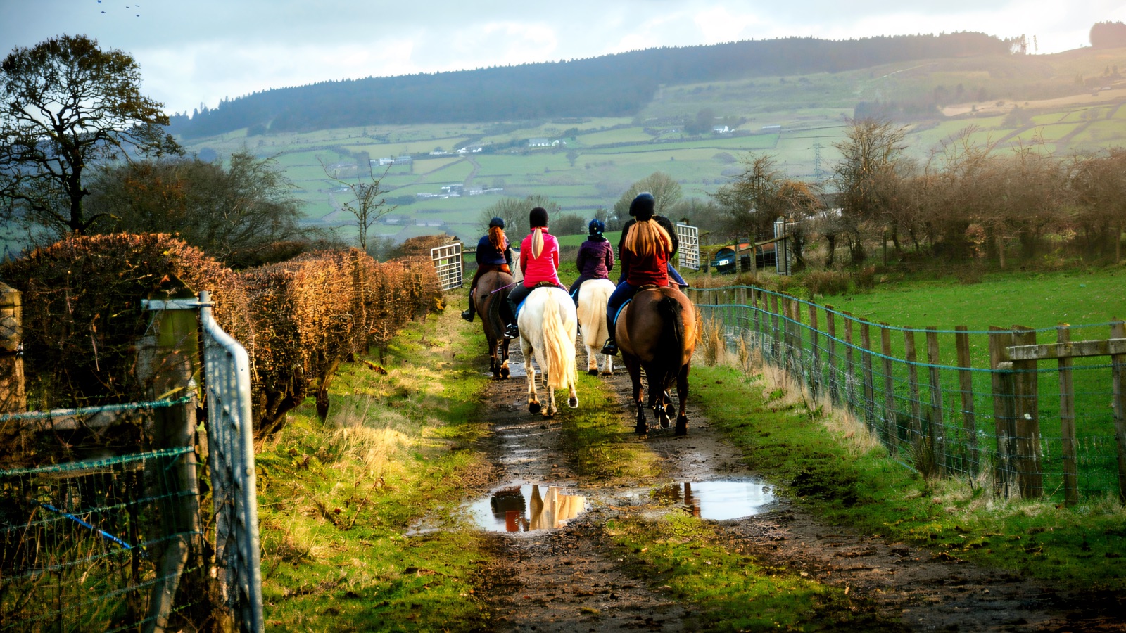 A group of riders on horseback heading down a country lane at Ballylagan, with the green Antrim hills spread out ahead
