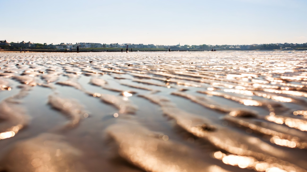 The wide low-tide sands toward Ballyholme