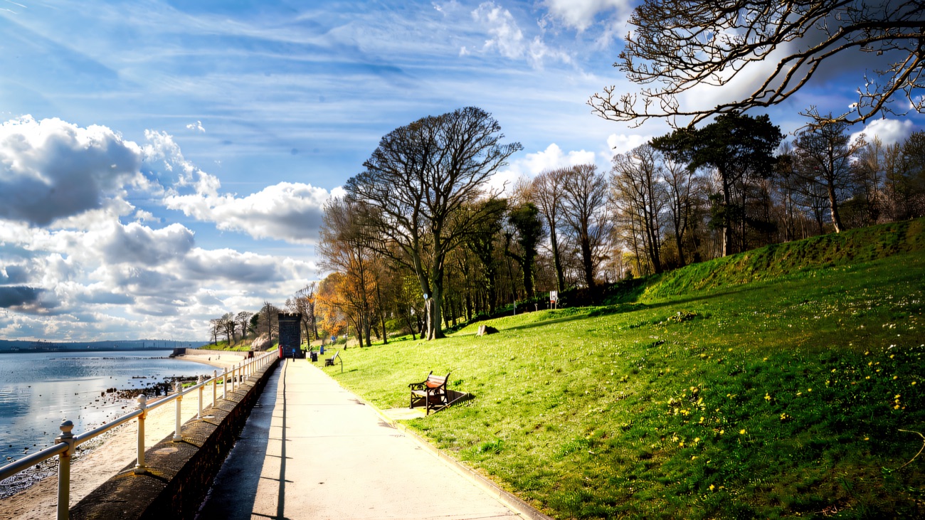 Spring daffodils line the shoreside path under a bright sky