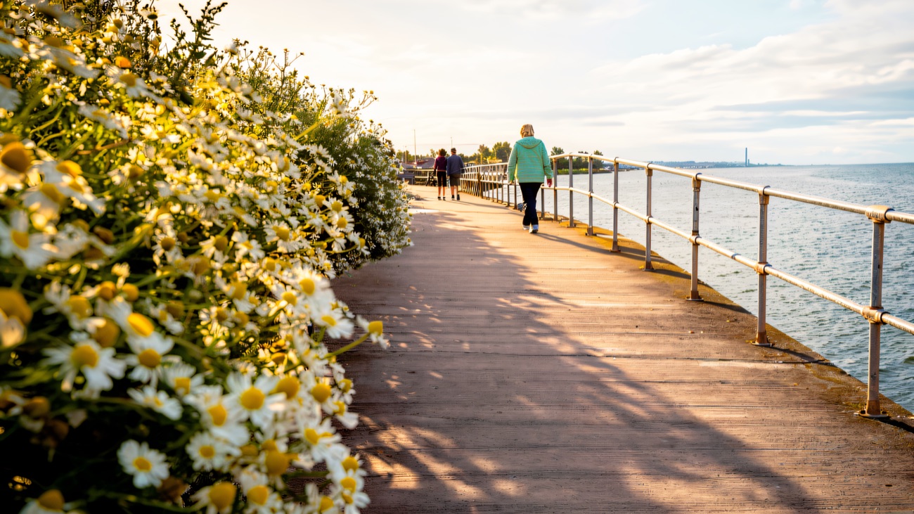 Wild daisies edge the path as walkers head along the lough