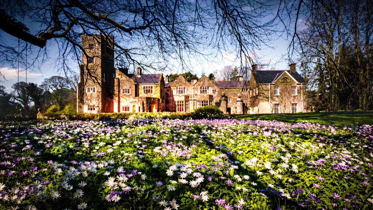 Belle Isle Castle behind a spring carpet of purple flowers under bare trees