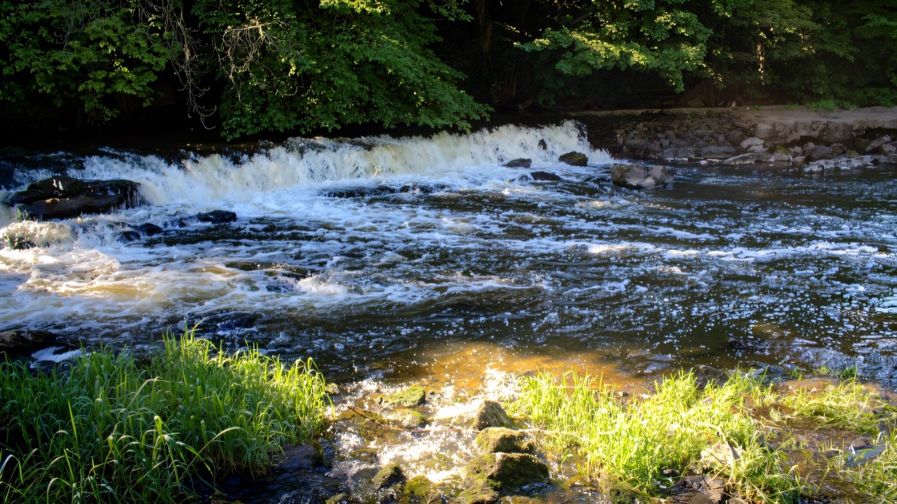 A weir and white water on the River Blackwater at Benburb, framed by green woodland on both banks