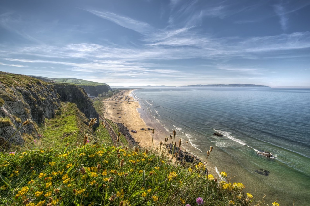Benone beach seen from the cliff-top with wildflowers in the foreground and the long golden strand sweeping along the coast
