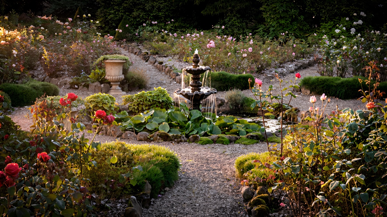 The rose garden at Benvarden with beds radiating from a stone fountain