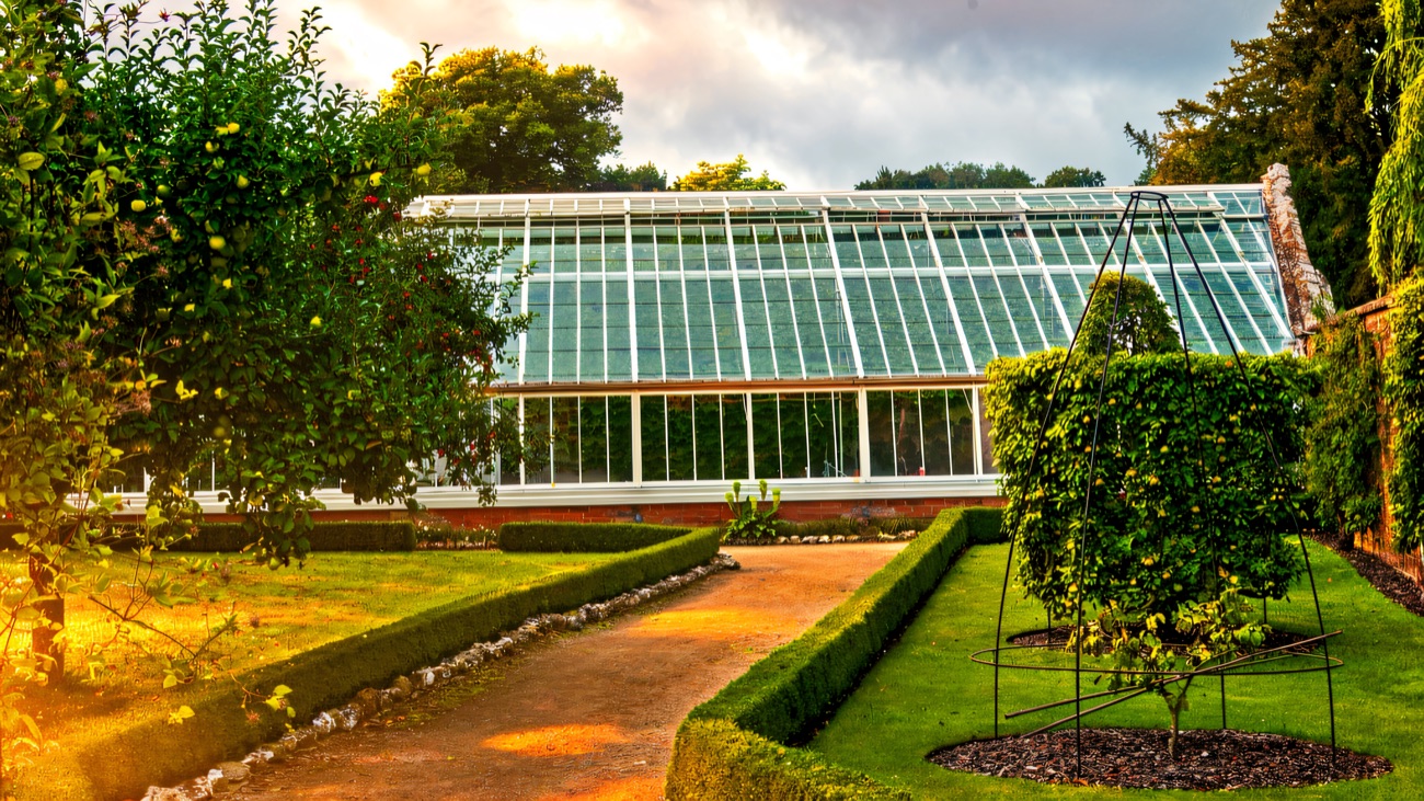 The old glasshouse in the walled kitchen garden with box-edged beds
