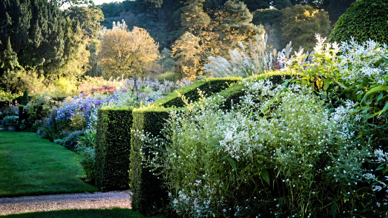 Deep mixed borders framed by clipped yew hedges