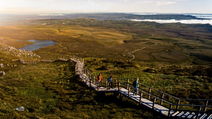 Walkers climbing the timber staircase of the Cuilcagh Boardwalk above golden bog