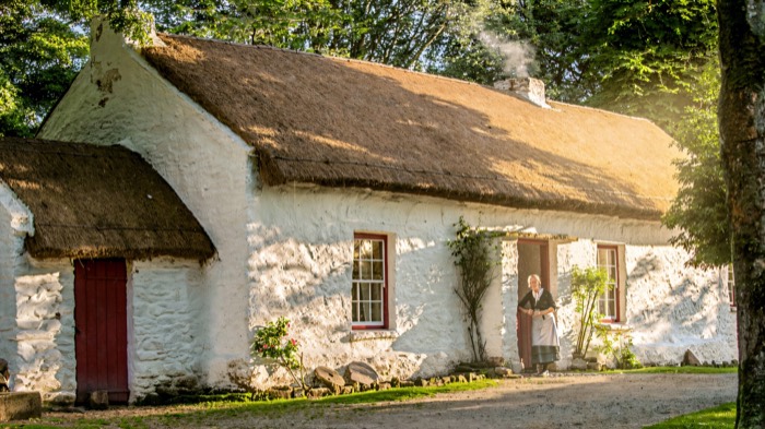 A thatched whitewashed cottage at the Ulster American Folk Park in golden light