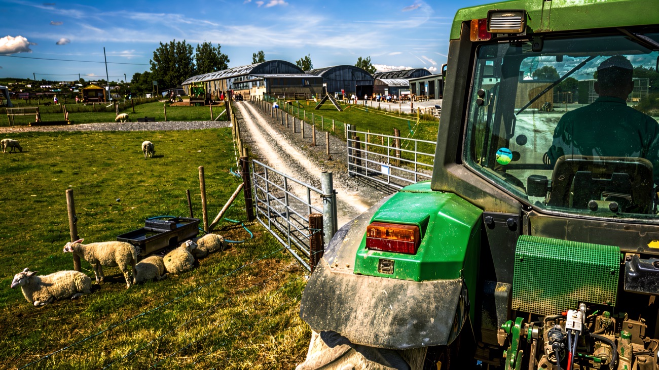 A tractor beside the sheep fields and farm lane at Streamvale Open Farm