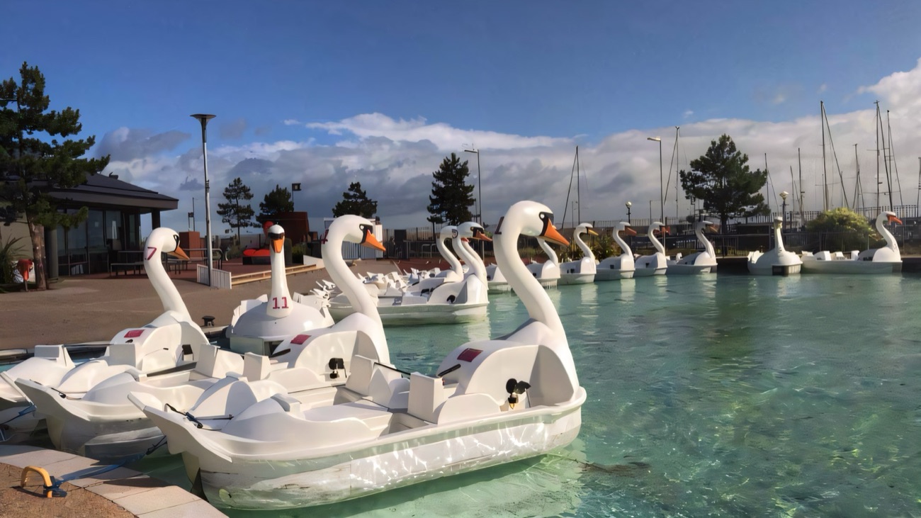 The giant swan pedal boats lined up on the clear boating lake at Pickie Funpark, Bangor
