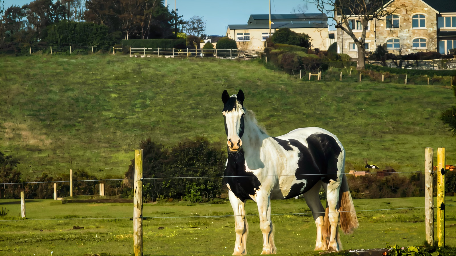 Birr House Riding Centre