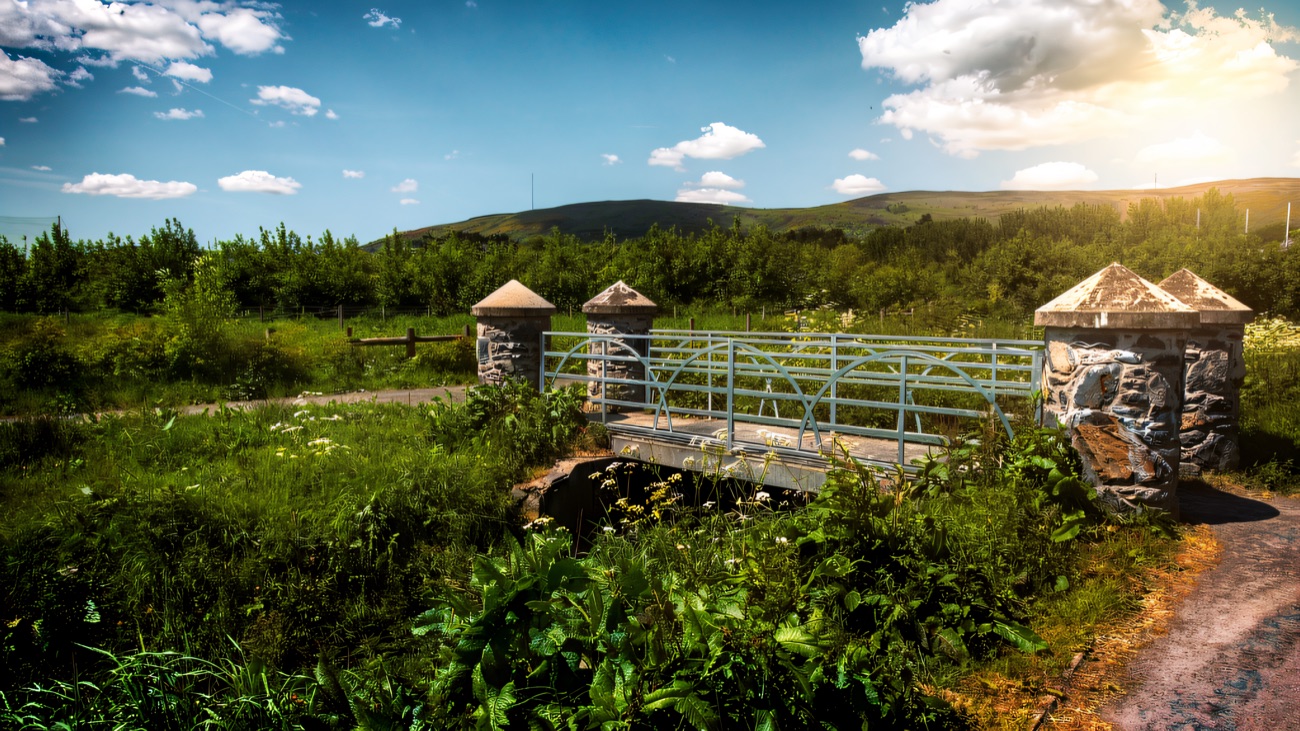 A little white footbridge on the reserve trail under a bright summer sky