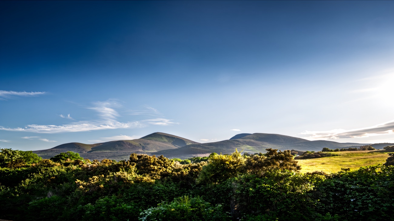 The Mourne Mountains rising beyond the hotel grounds.
