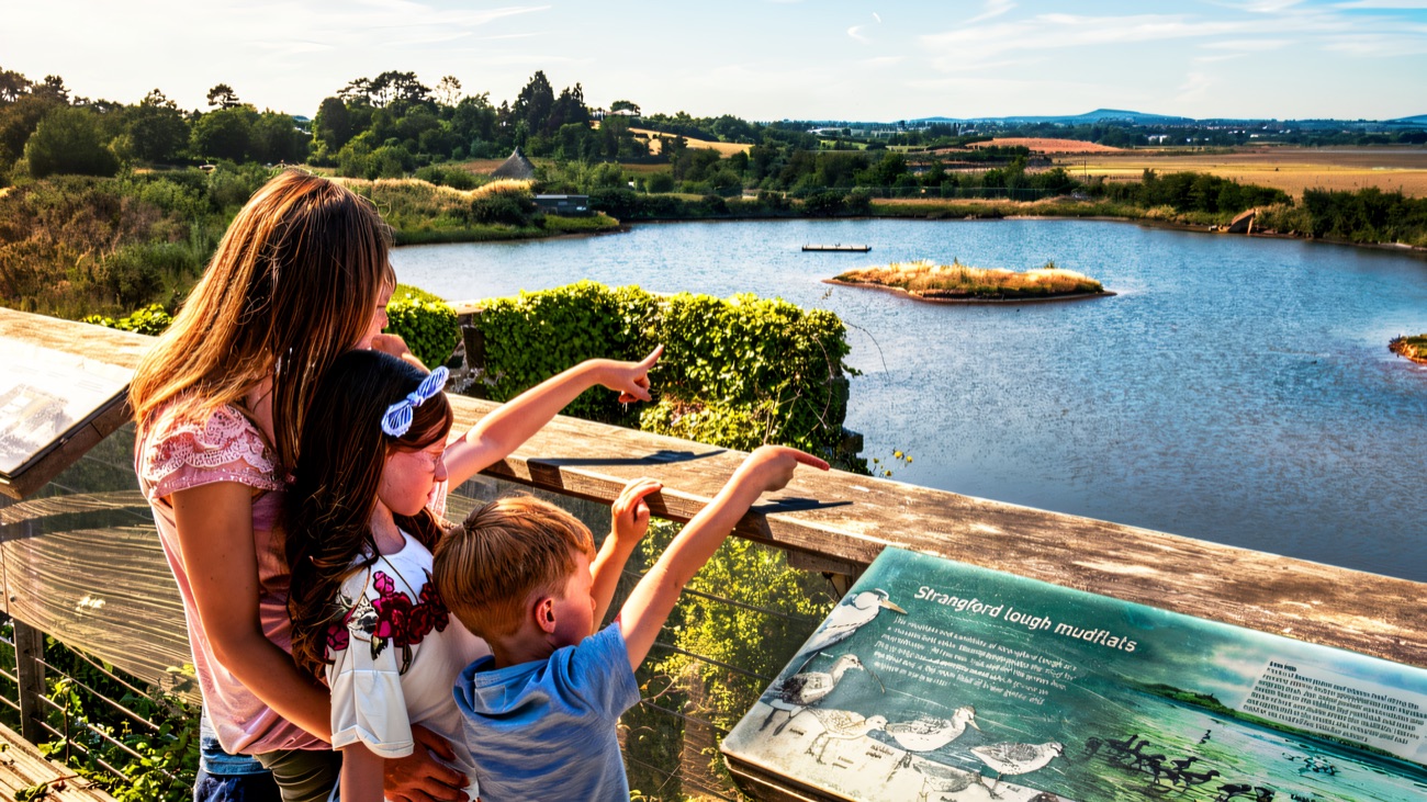 A family at a wooden viewpoint looking out over the Strangford Lough mudflats beside an interpretation panel