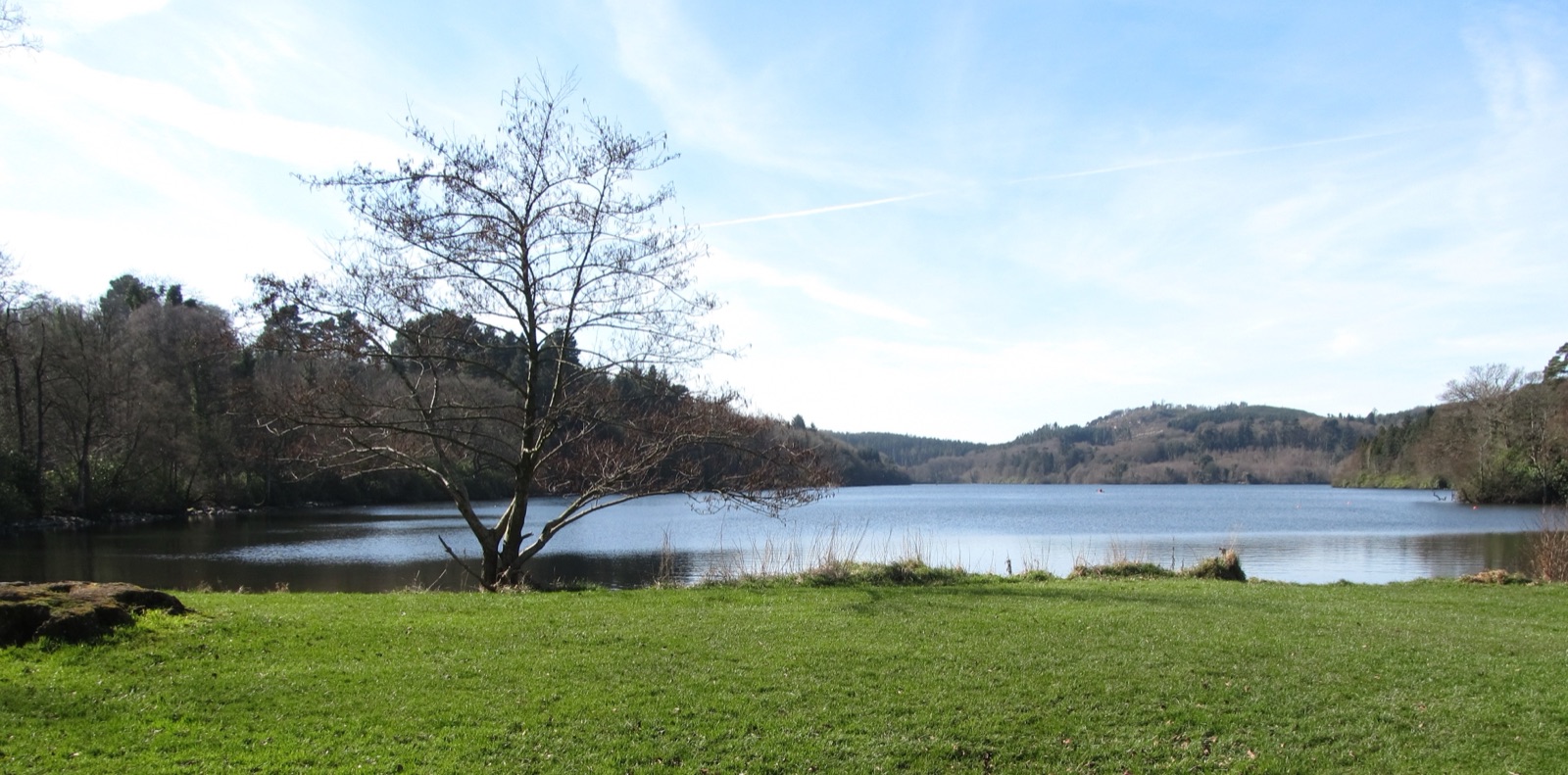 Castlewellan Castle above green lawns and the lake on a bright day