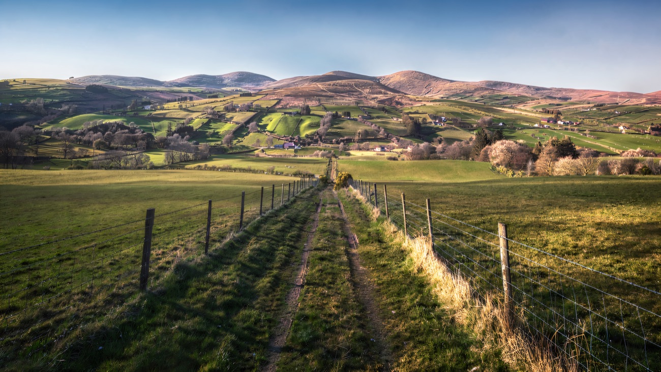 A green track climbing towards the rounded Sperrin hills