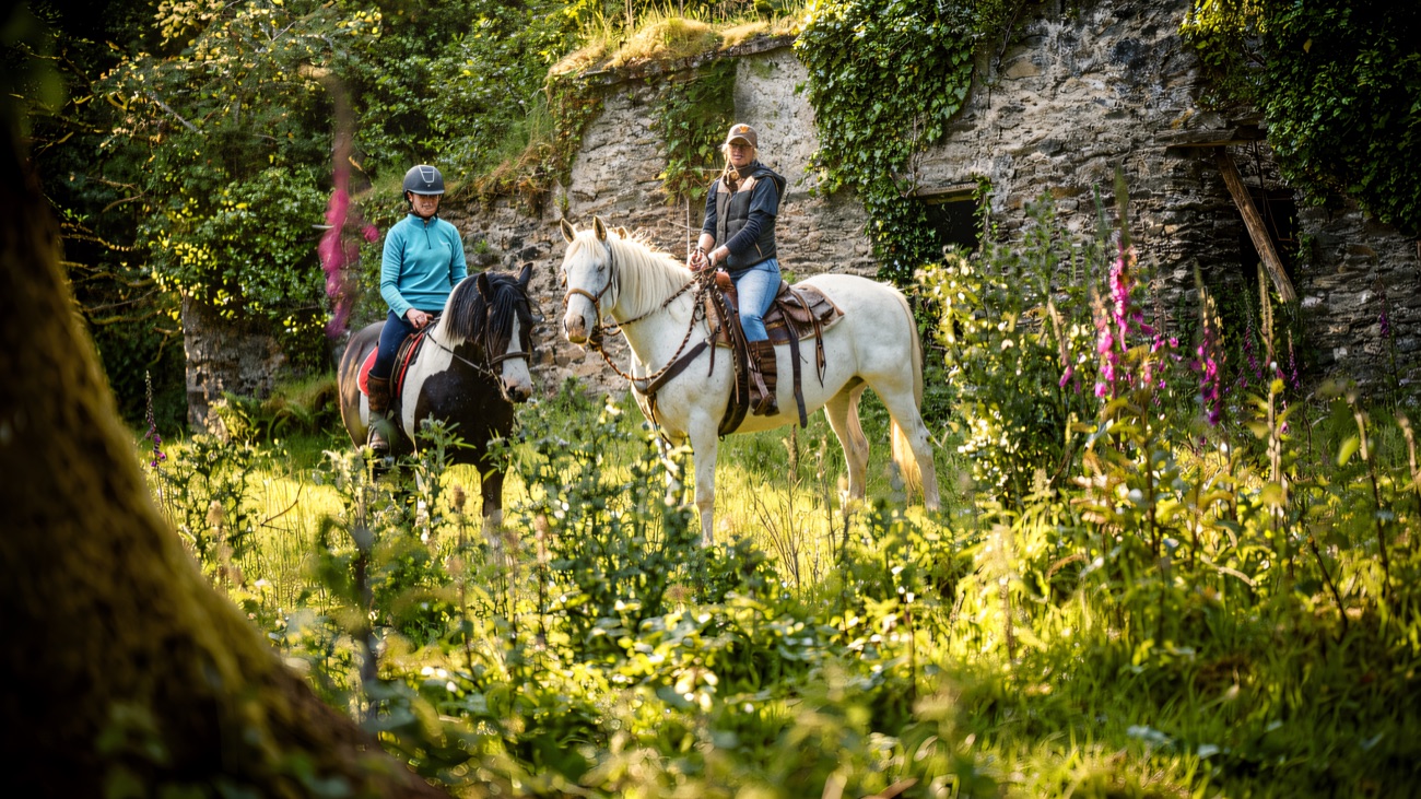 Two riders pause on a grassy track full of foxgloves beside an old ivy-covered stone wall