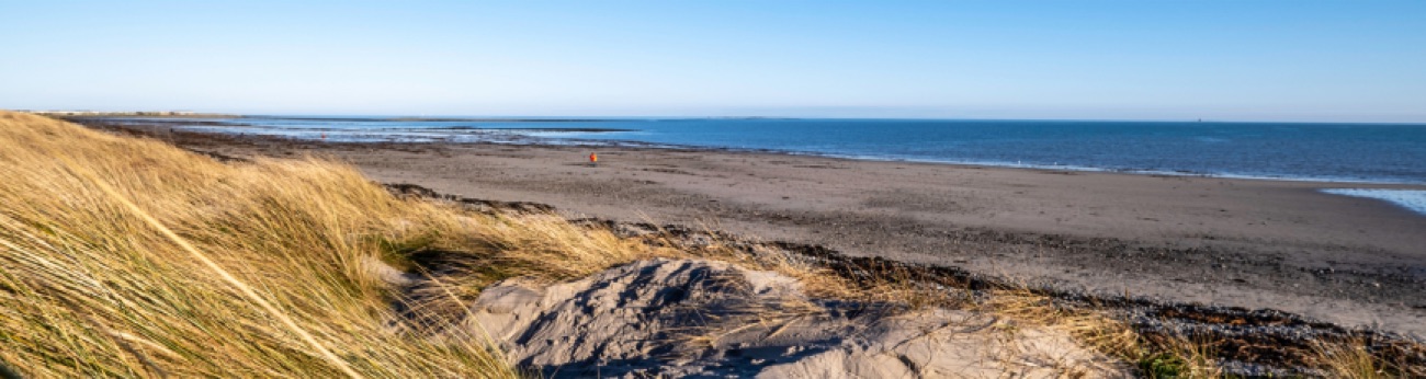The long open sandy beach at Cloughey framed by marram-grass dunes, the Irish Sea stretching flat to the horizon under a clear blue sky