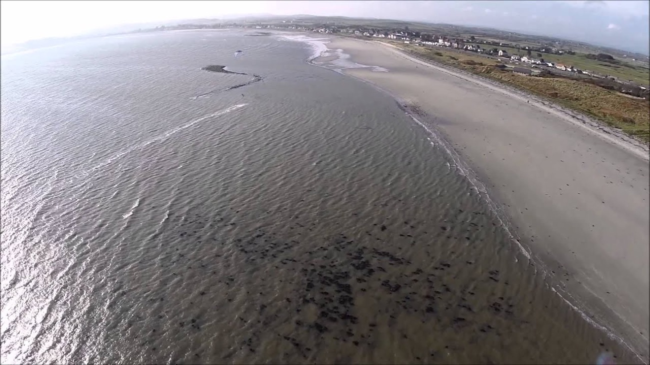 Aerial view along the full sweep of Cloughey beach and bay with the village and green fields of the Ards Peninsula behind