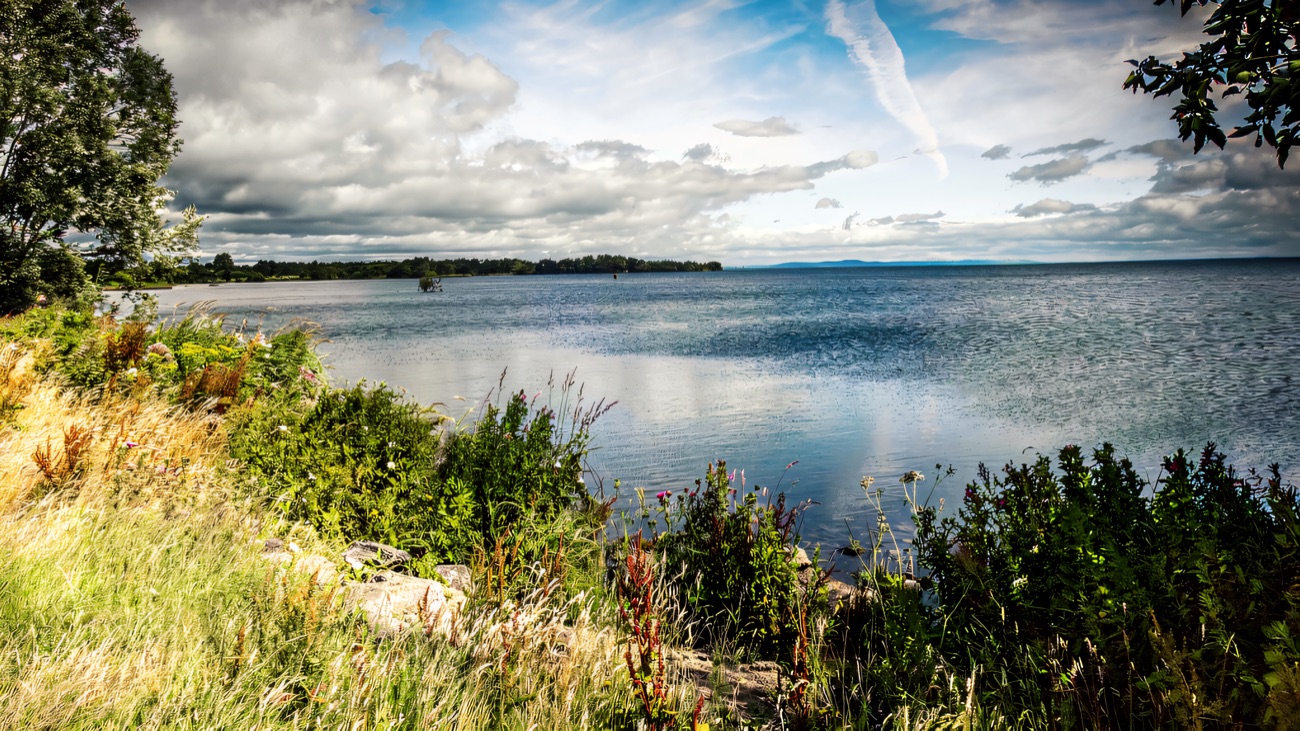 Wide open Lough Neagh stretching to the horizon from the shore path