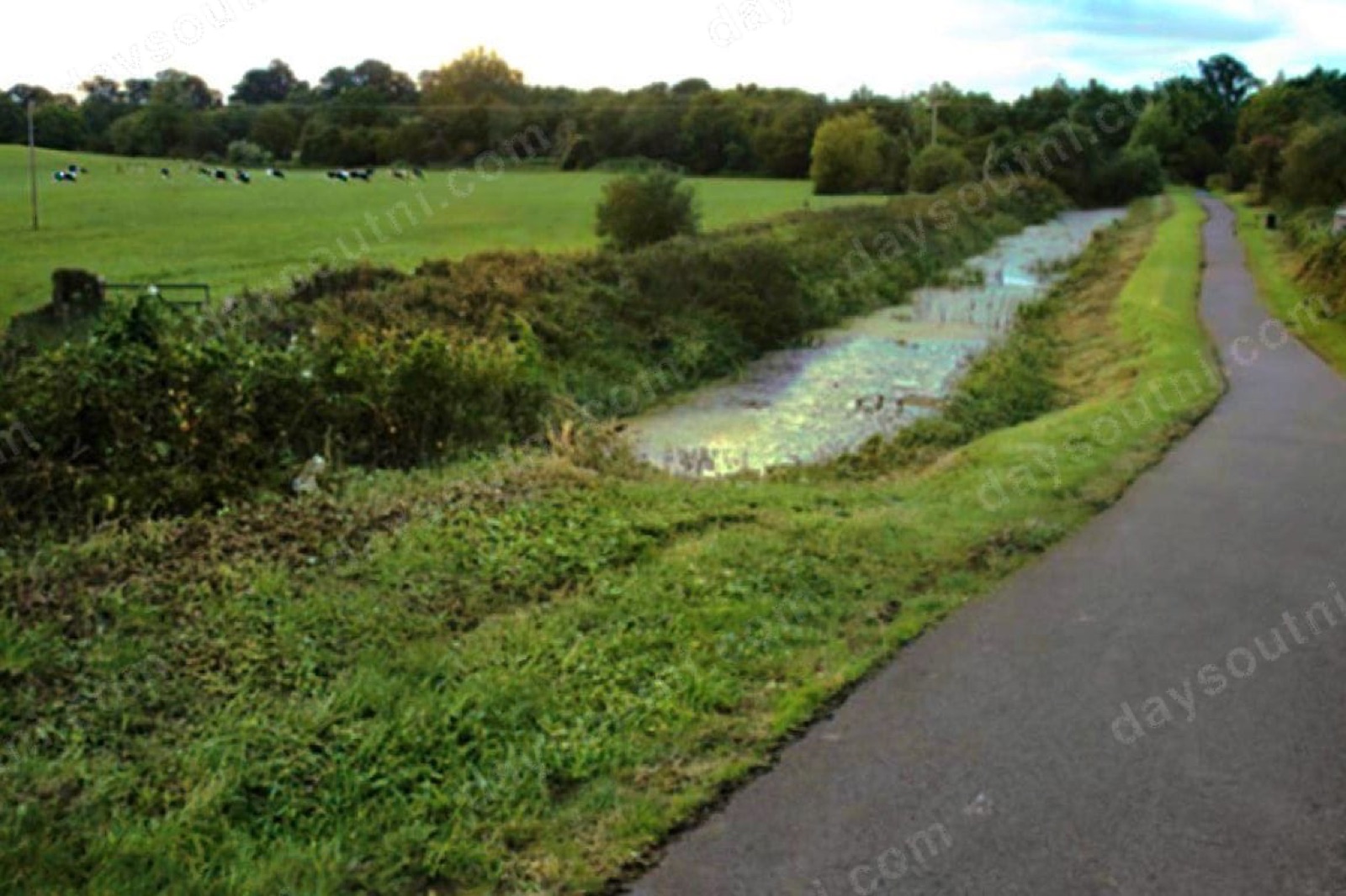 Coalisland Canal Greenway