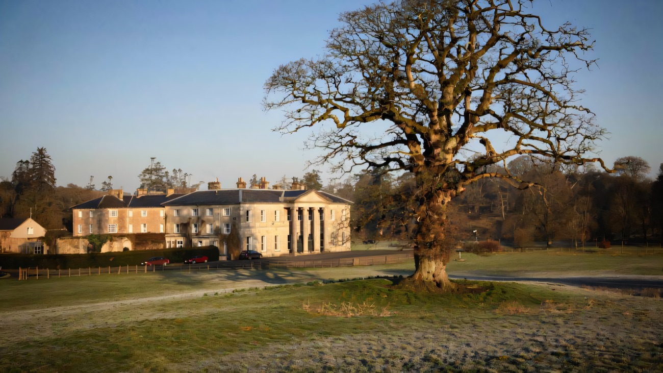 A great bare oak on frosty estate parkland with Colebrooke Park mansion in the distance