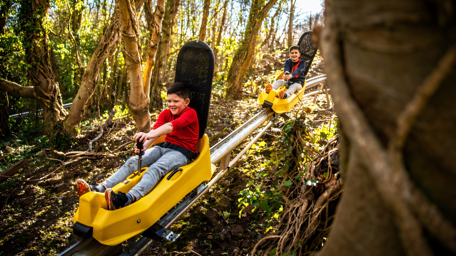 Colin Glen Alpine Coaster & Zip Line