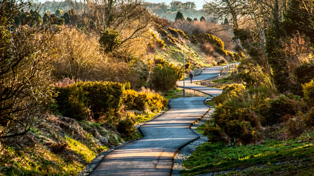 The path winds in a smooth curve between gorse-lined banks