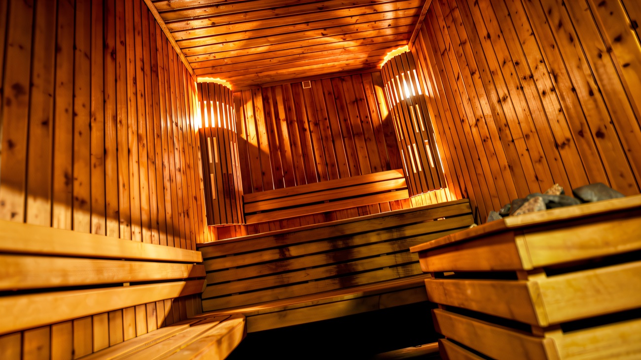 The sauna, all warm timber