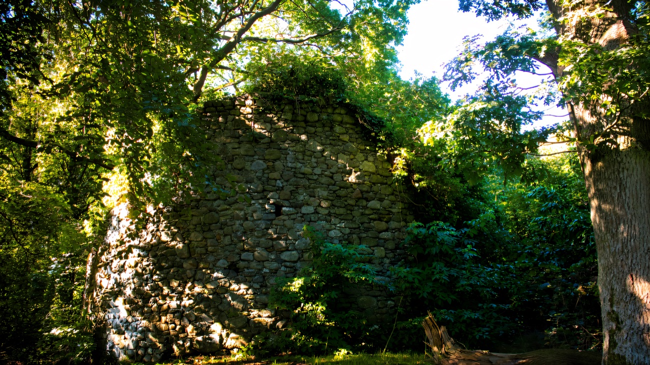 An old stone ruin tucked among the island's woodland