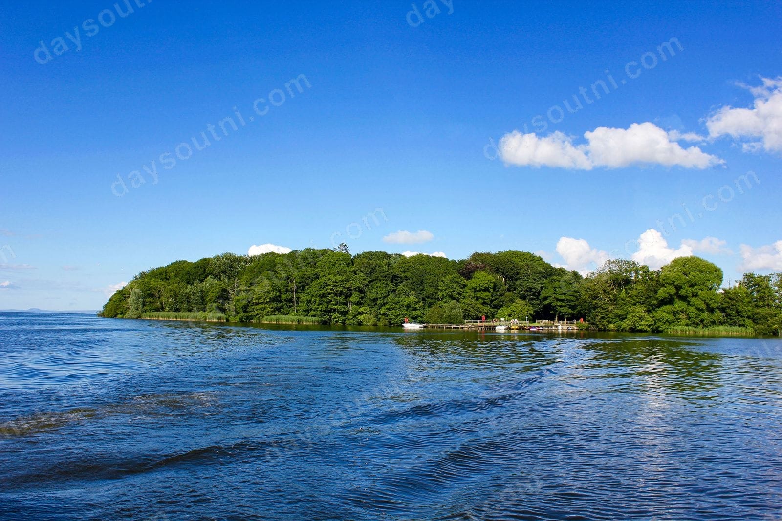 Coney Island (Lough Neagh)
