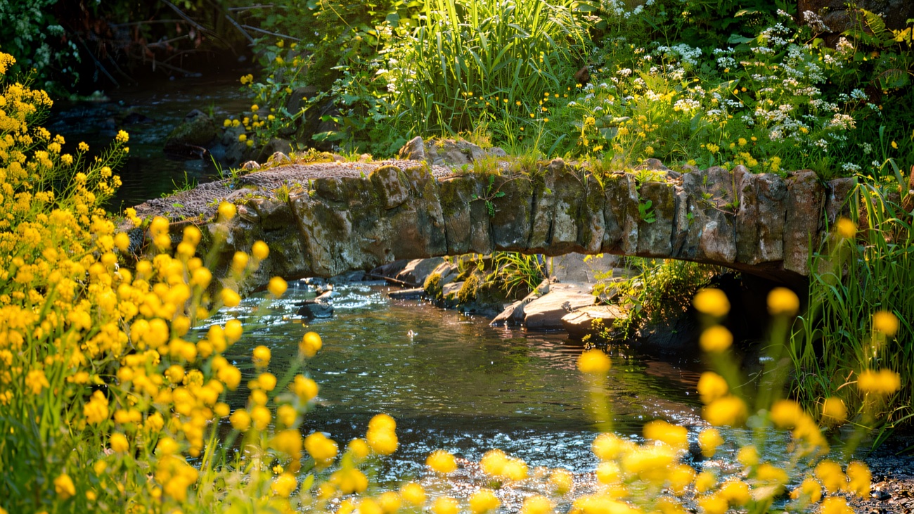 A little stone bridge crosses the river among the wildflowers