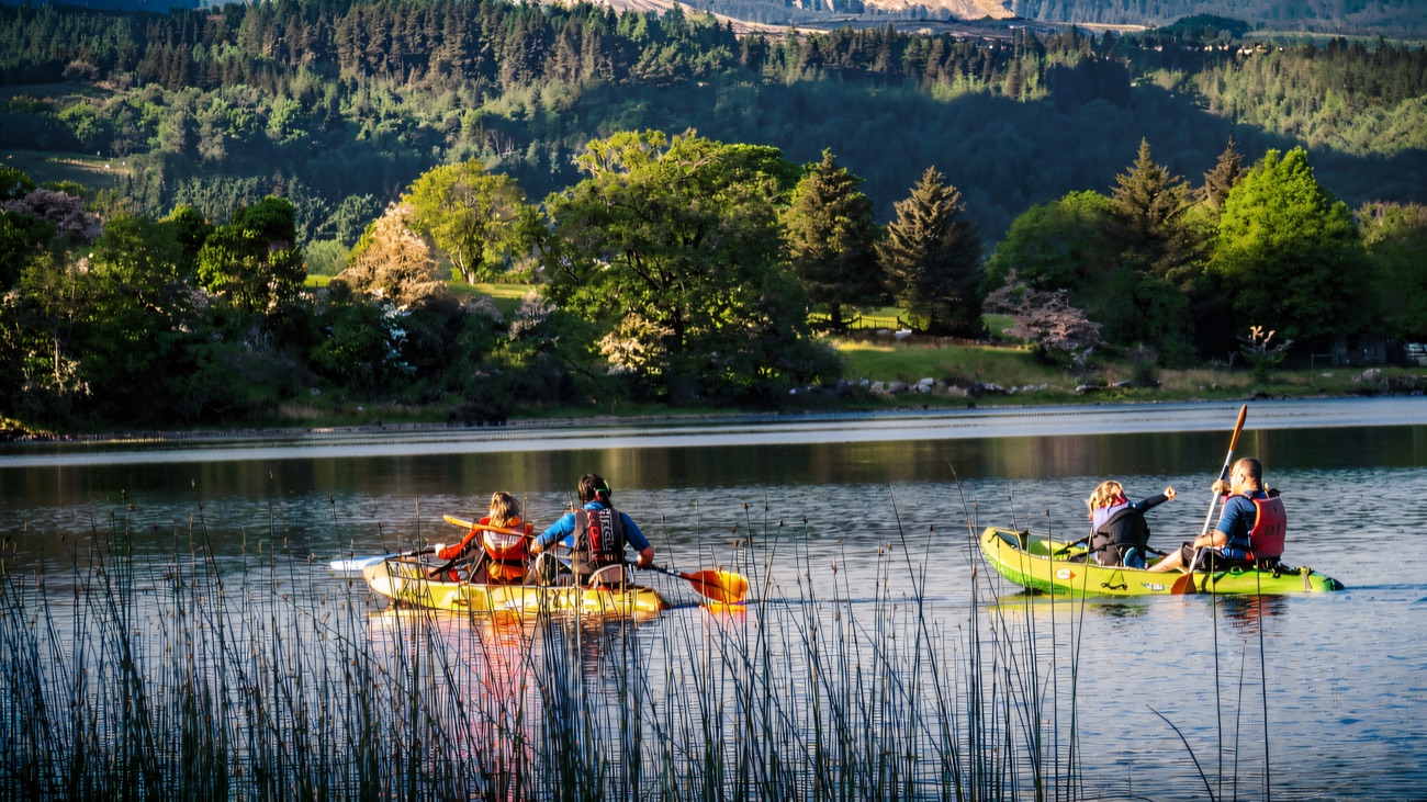 Kayaks and canoes threading through the reeds on the water