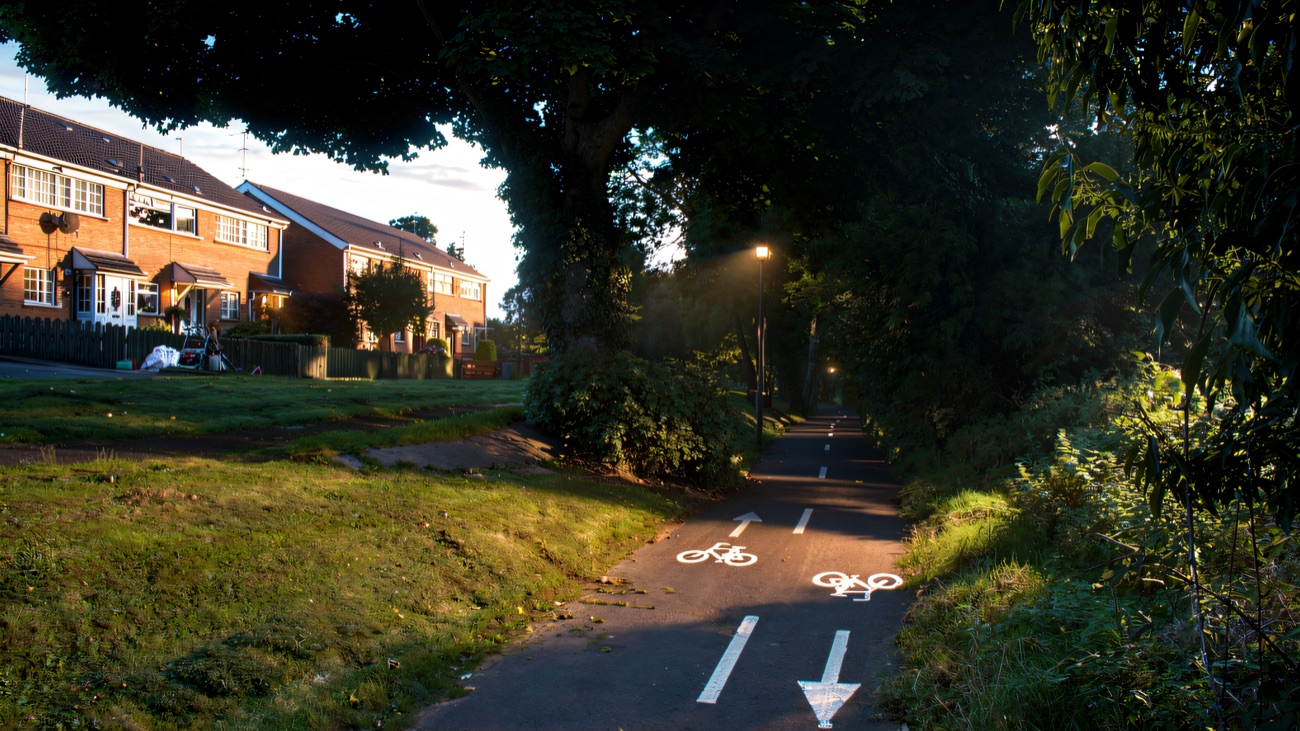 A marked cycle and walking path threading between the trees