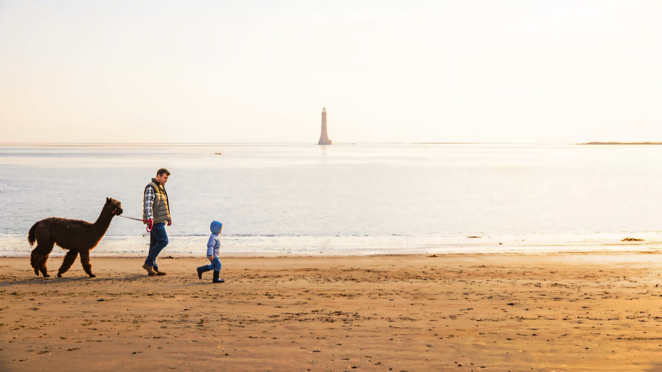 A walk along Cranfield's wide sands with Haulbowline lighthouse standing far out in the lough.