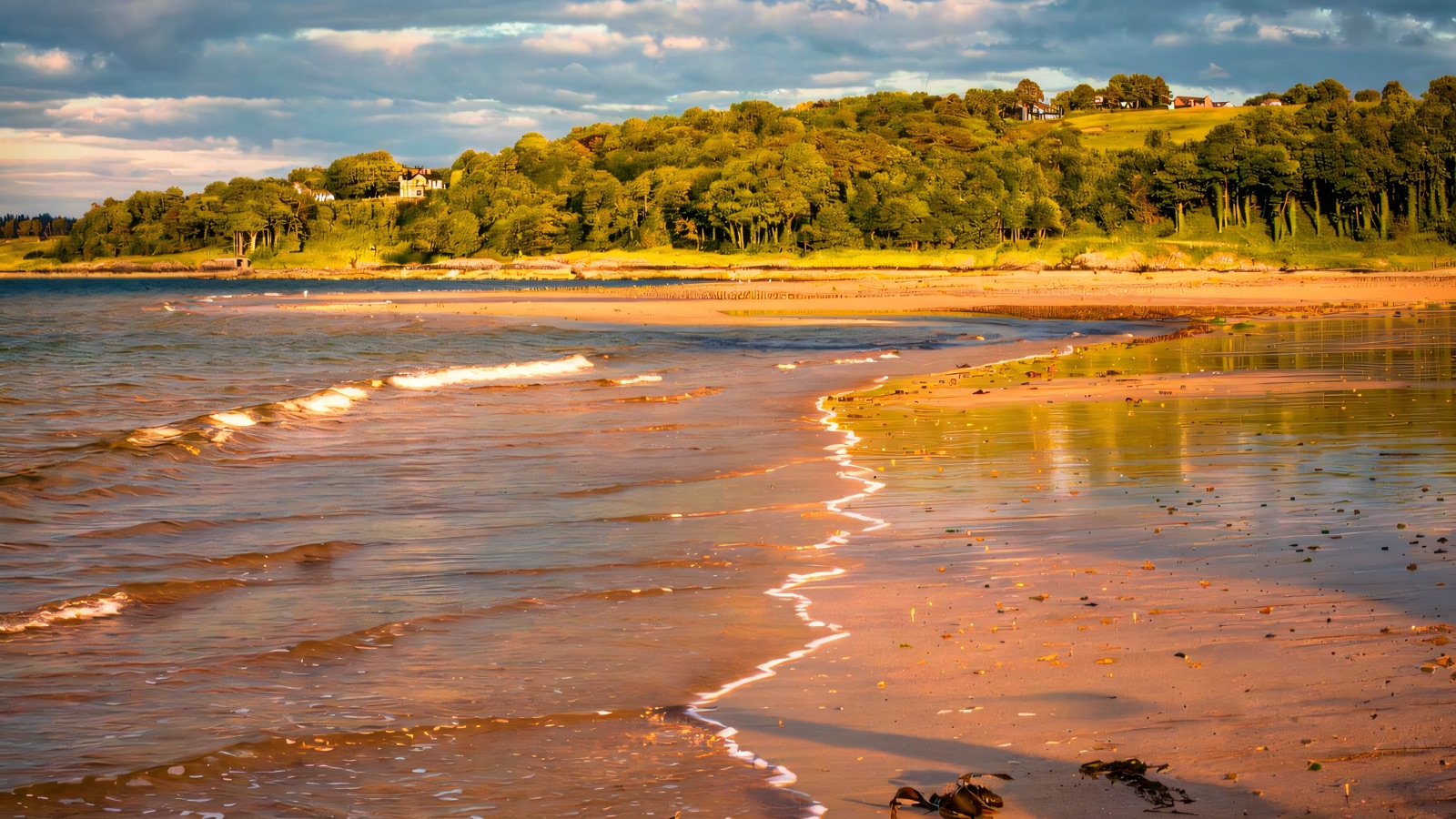 A sandy beach at Crawfordsburn Country Park with waves washing in and a wooded shoreline curving round Belfast Lough