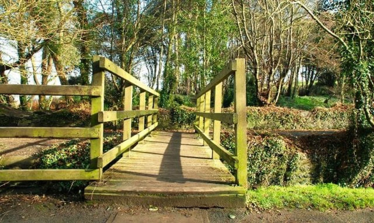 A sunlit wooden footbridge crossing the stream in the wooded glen at Crawfordsburn