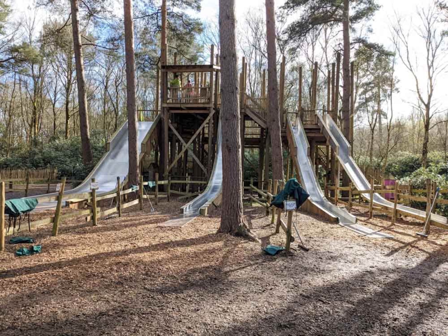 A wooden adventure play tower with tall metal slides set among tall pine trees on a bark-chip surface at Crawfordsburn Country Park