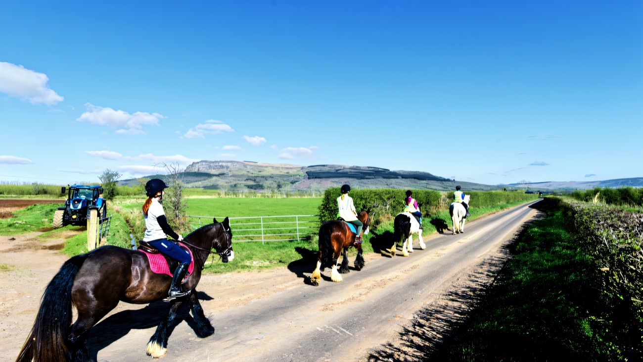 A line of horses and riders on a quiet country lane below Binevenagh under a bright blue sky
